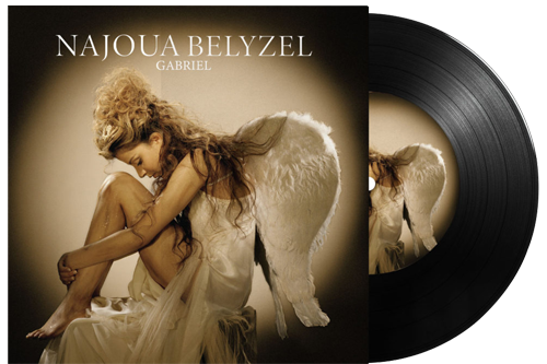 Le coffret contient une Pochette Vynil